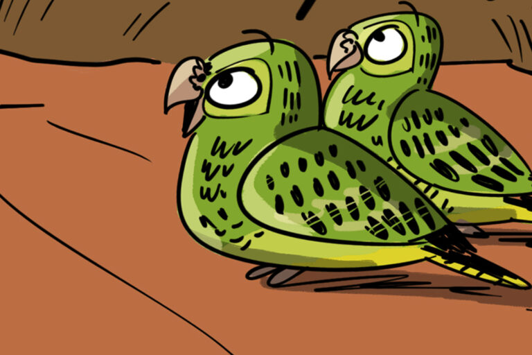 A Little Tame Bird Conservation Would Help Cartoon