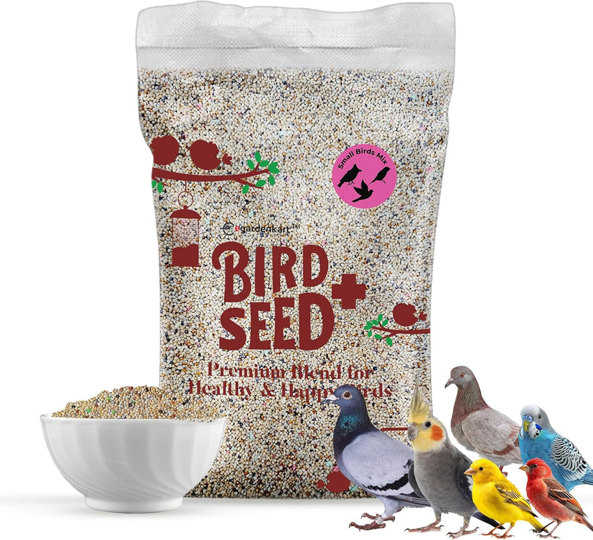 Can You Feed Quail Bird Seed