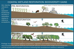 Do Fragmented Forests Help Conservate Birds