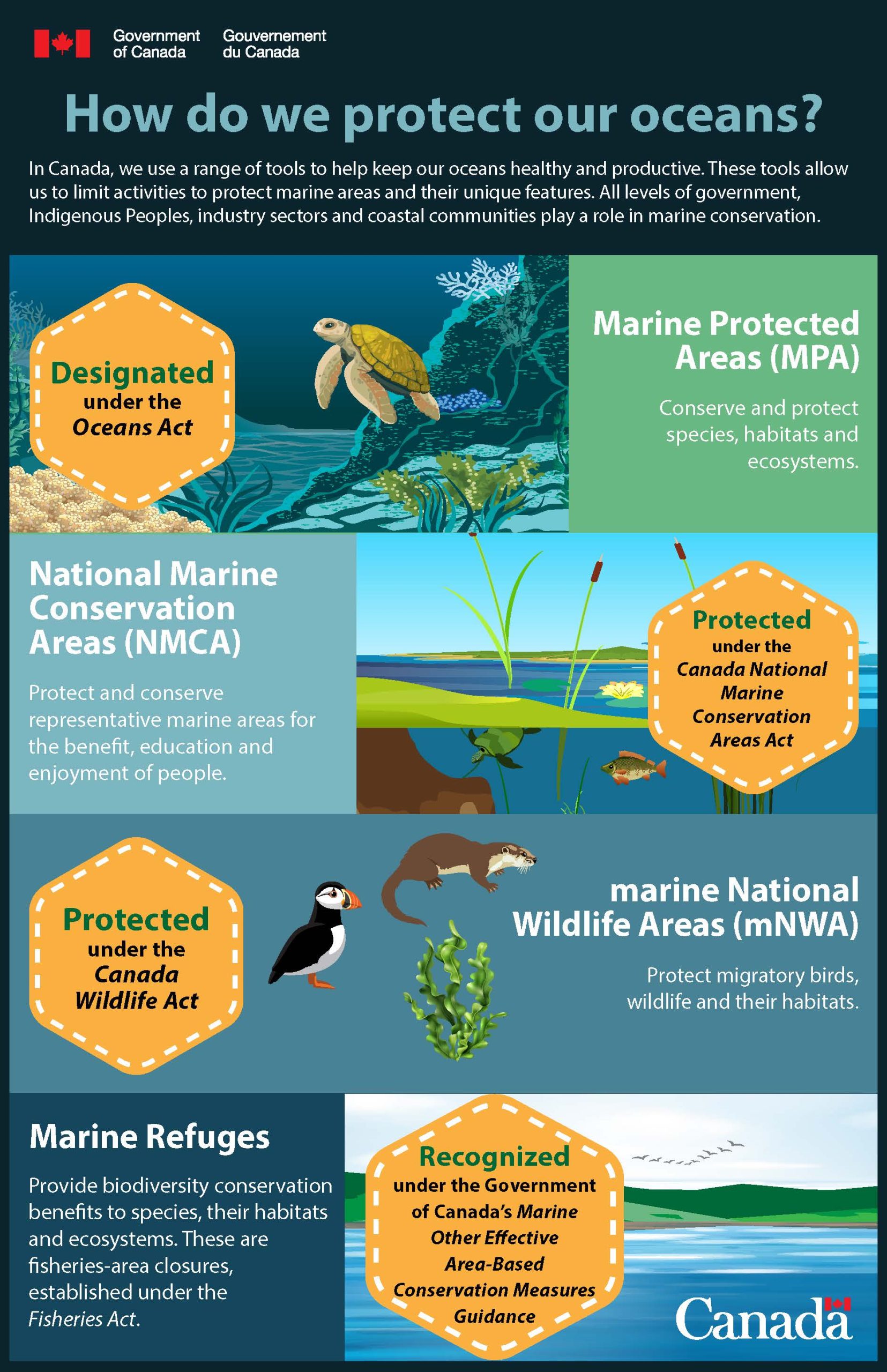 Does the Migratory Bird Treaty Act Protection Habitat