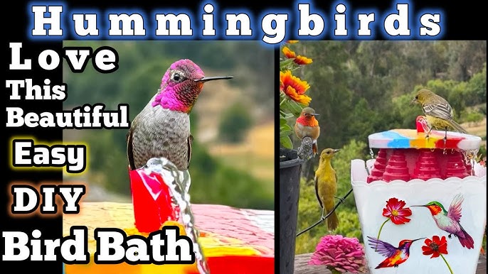 How Can I Make a Homemade Humming Bird Feeder