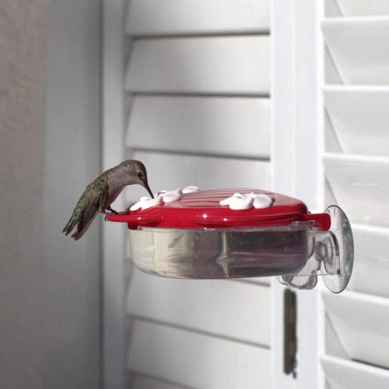 How Far Should Bird Feeder Be from Window