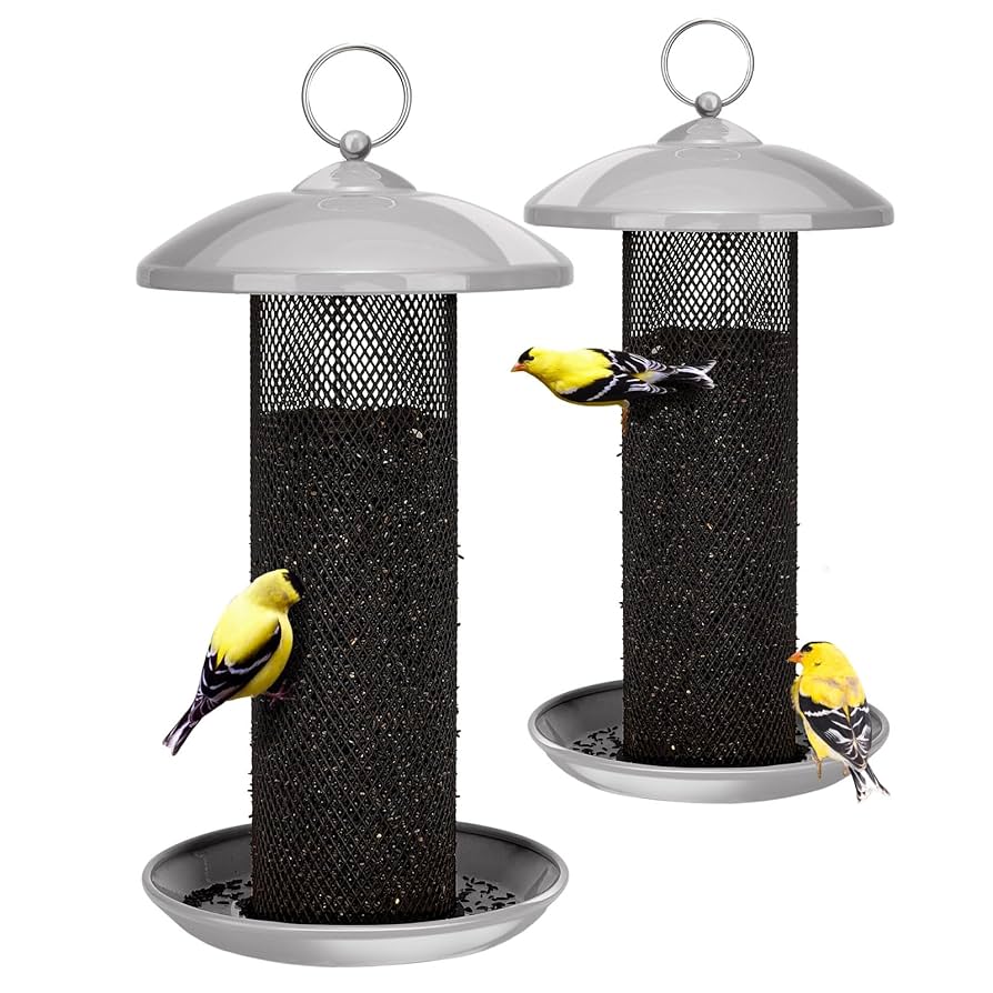 How Much Does It Cost to Feed Wild Birds