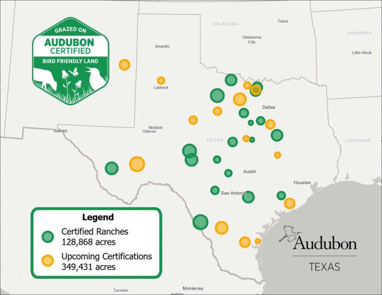 How Much Does Texas Spend on Bird Conservation