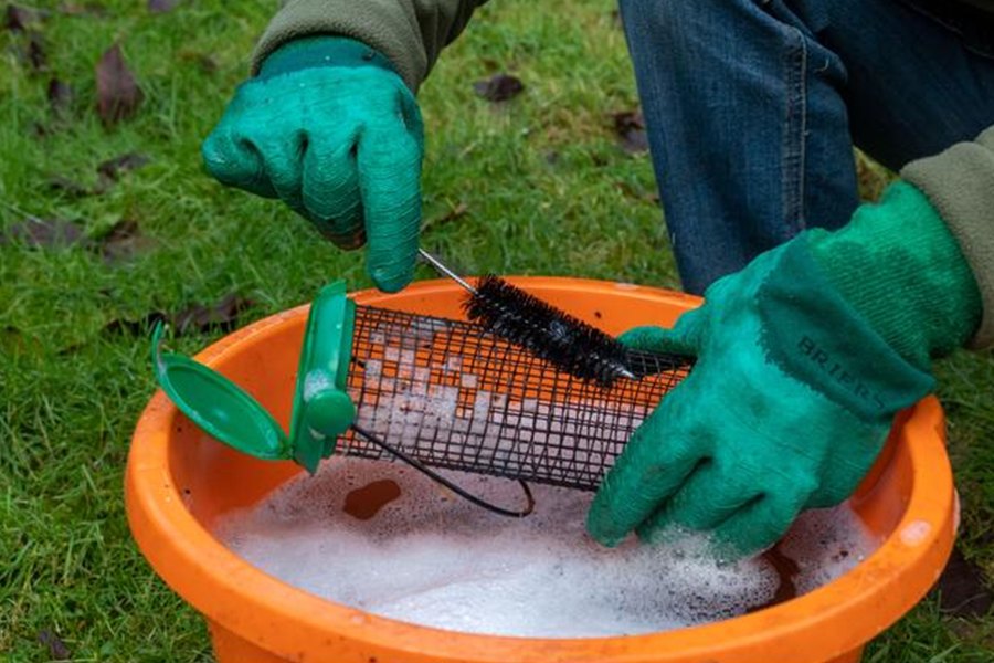 How Often to Clean a Bird Feeder