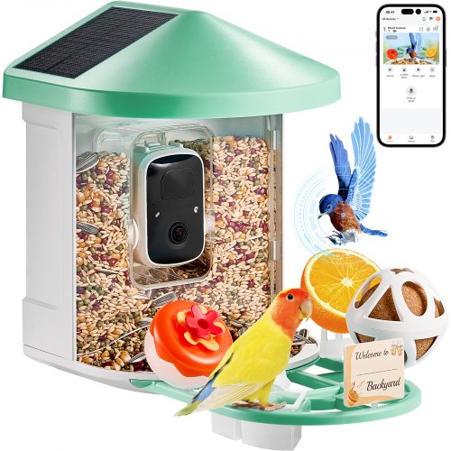 How Smart Bird Feeder With Camera