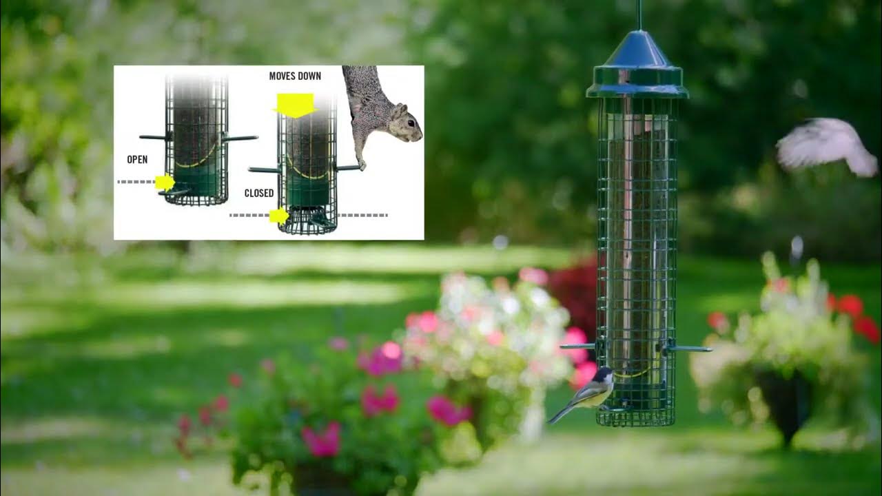 How to Adjust a Squirrel Buster Bird Feeder