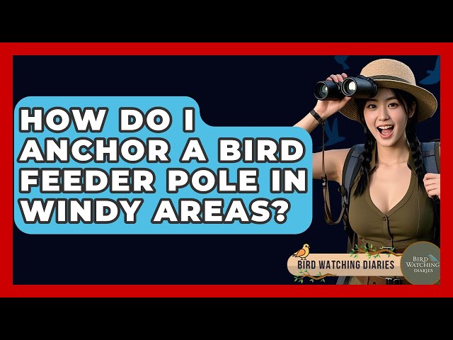 How to Anchor a Bird Feeder Pole