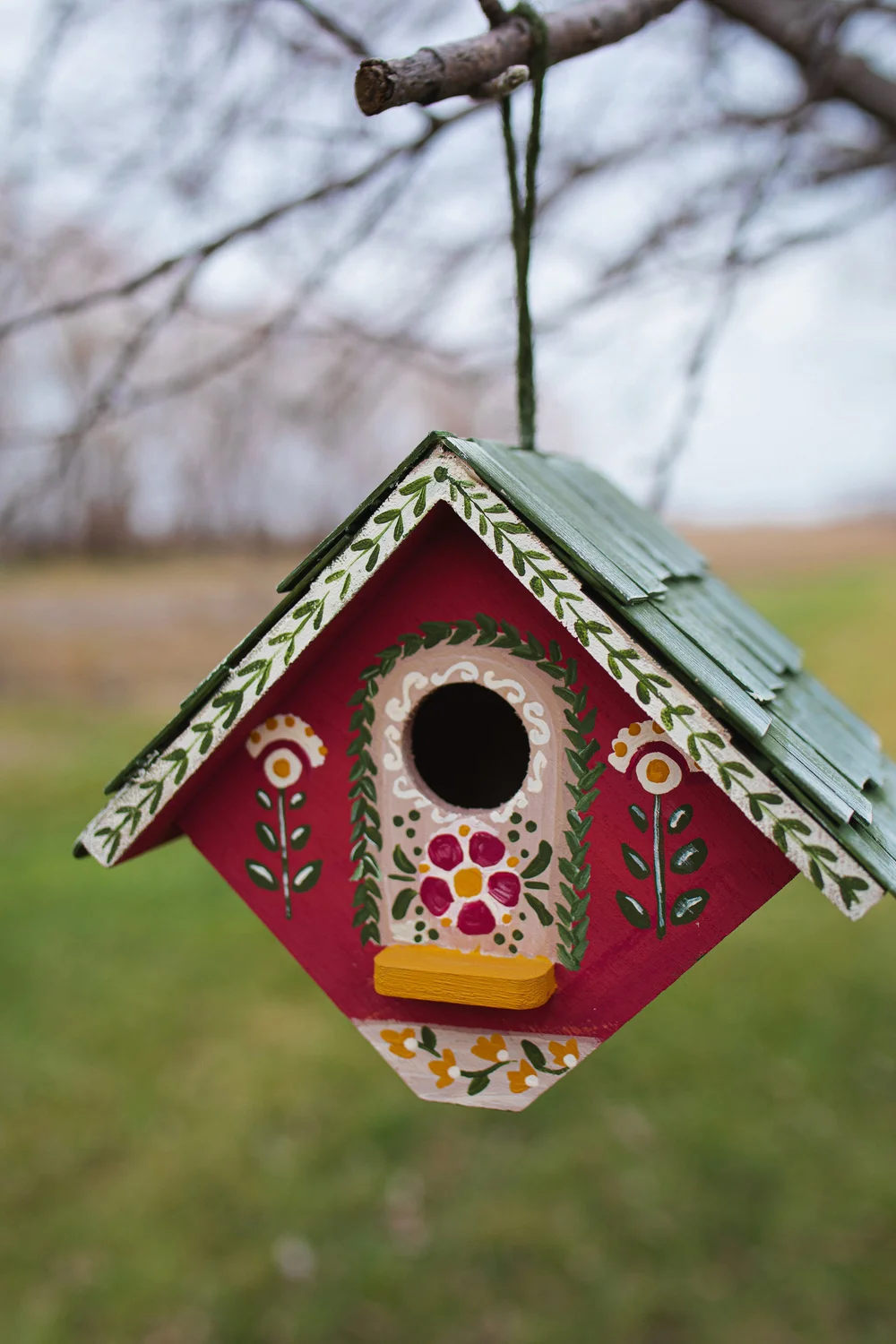 How to Build a Backyard Bird Habitat