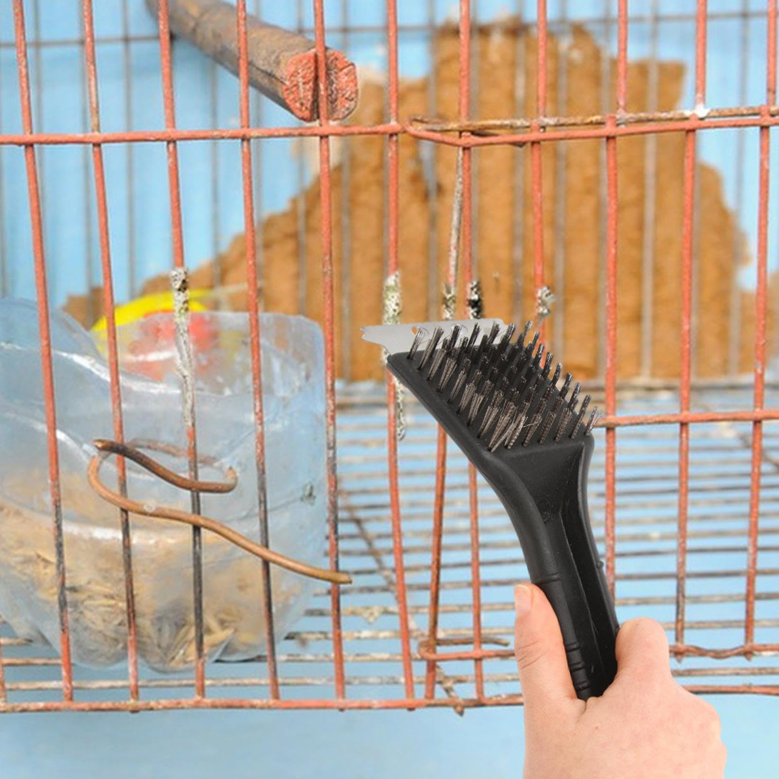 How to Clean Birds Feeder Droppings