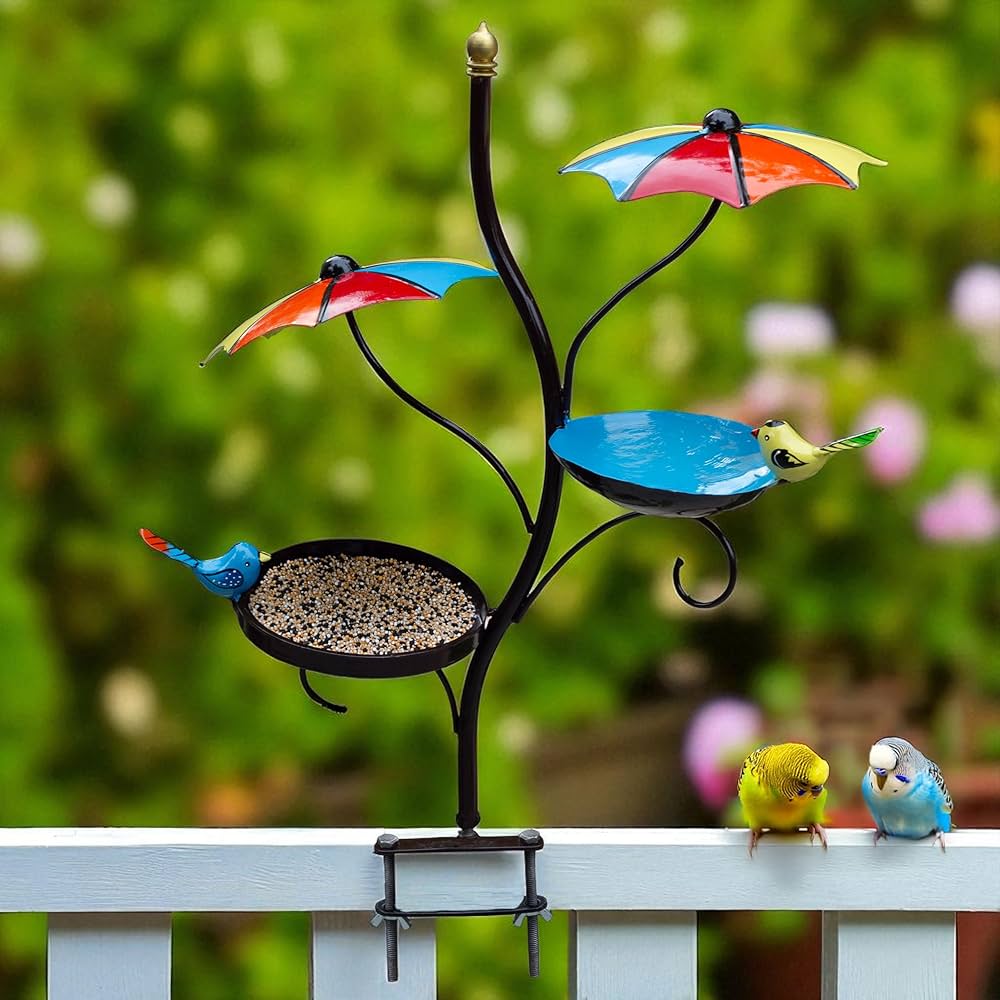 How to Feed Bird to Gather Birds to My Balcony