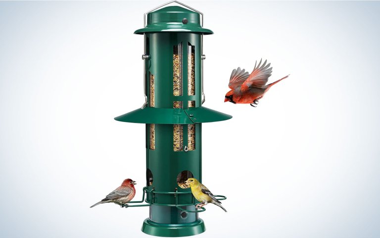How to Fix a Spring Loaded Bird Feeder