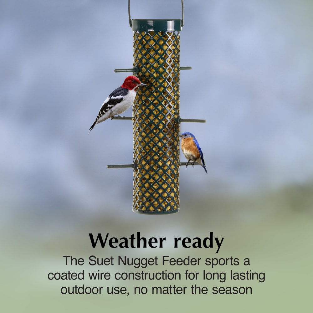 How to Hang a Bird Feeder on a Wire