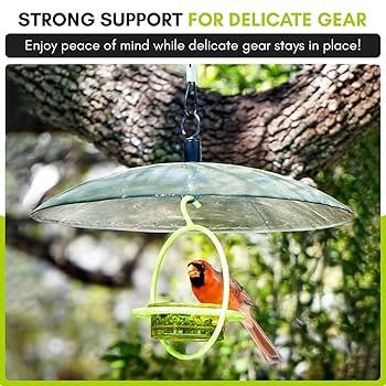 How to Hang a Bird Feeder With Wire