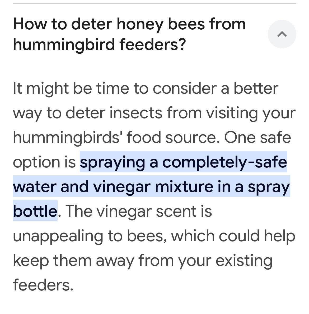 How to Keep Wasps Away from Humming Bird Feeder