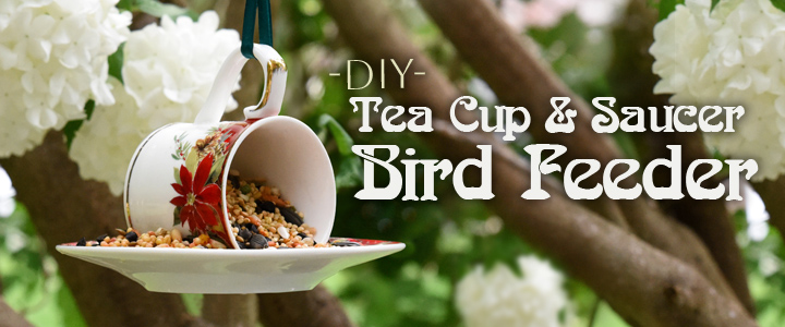 How to Make a Bird Feeder Saucer