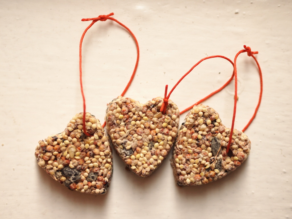 How to Make a Heart Bird Feeder