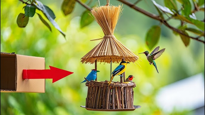 How to Make a Homemade Bird Feeder for Kids