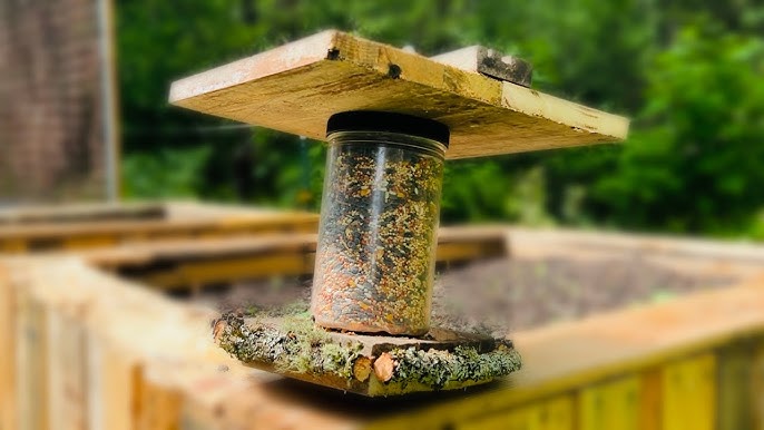 How to Make a Maggot Bird Feeder