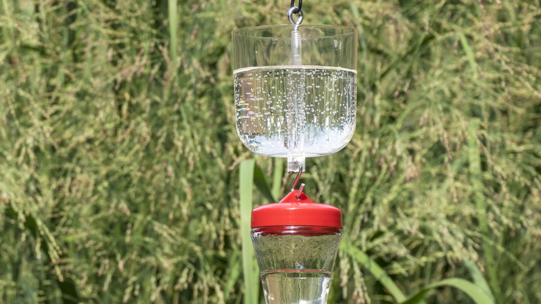 How to Make a Moat for a Humming Bird Feeder