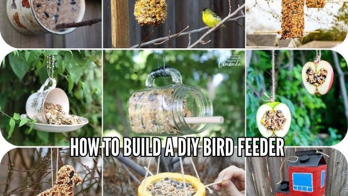 How to Make a Mouse Proof Bird Feeder