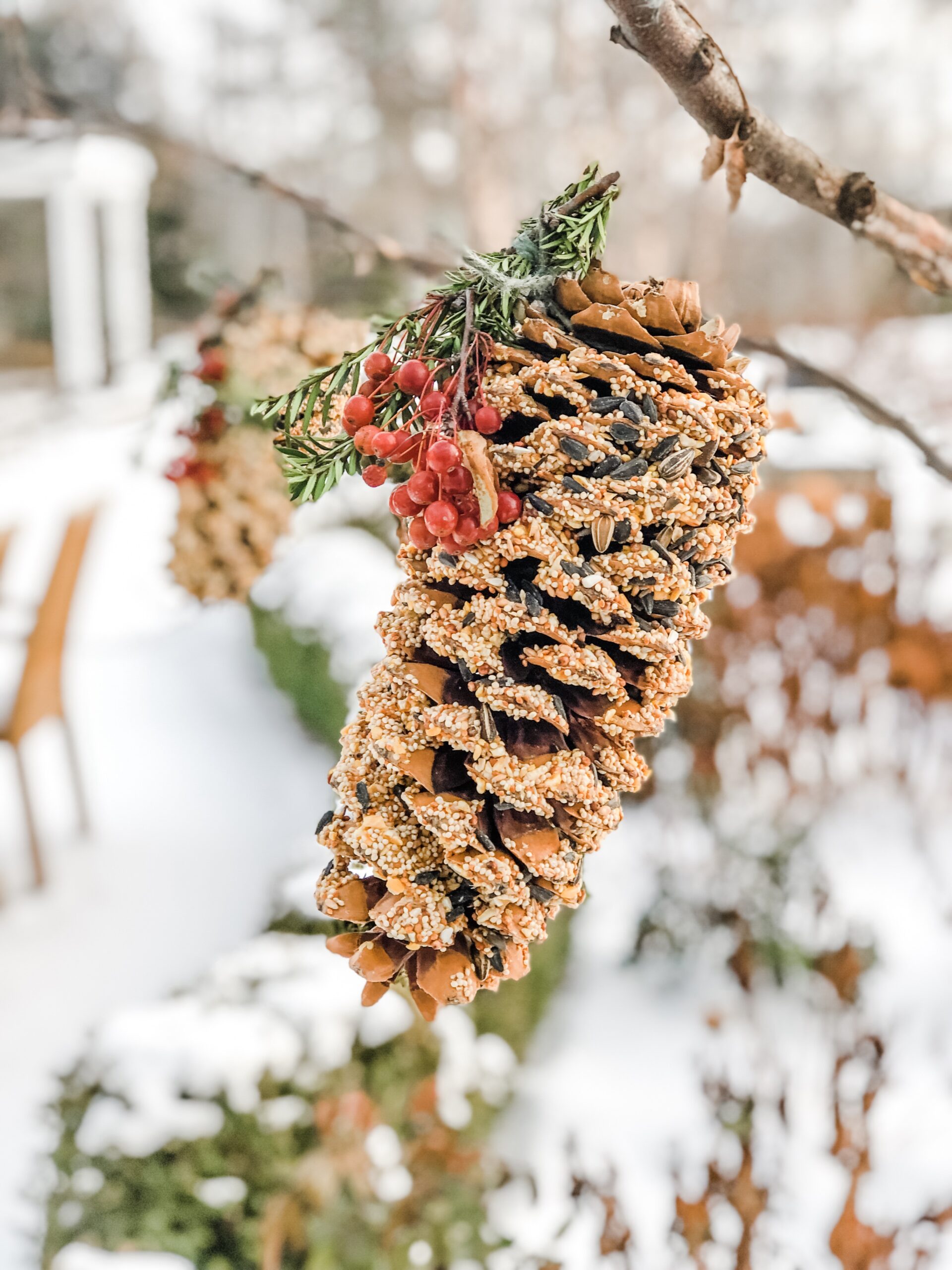 How to Make a Peanut Butter Pine Cone Bird Feeder