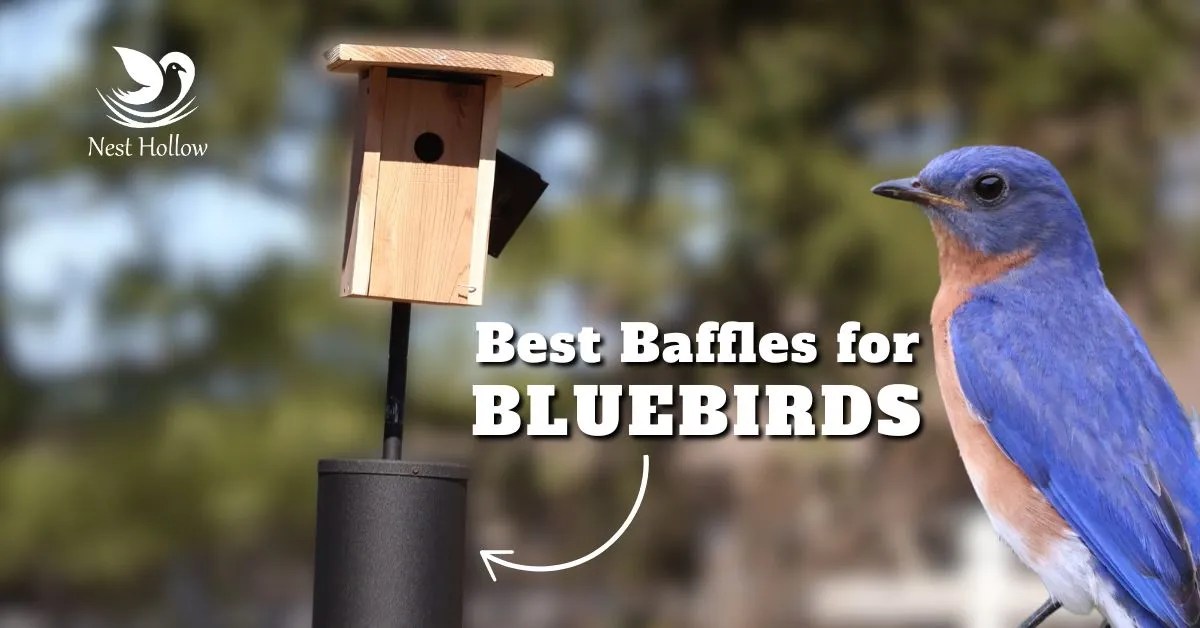 How to Make a Stove Pipe Bird Feeder Protecter