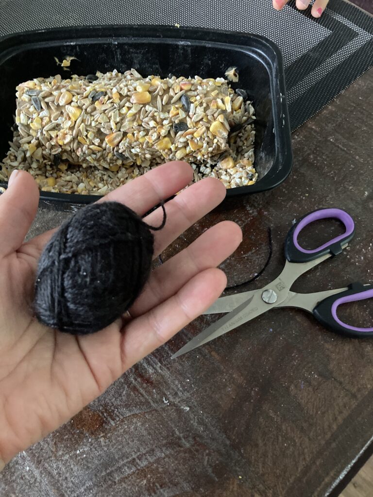 How to Make Bird Feeder With Peanut Butter