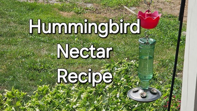 How to Make Nectar for Bird Feeder