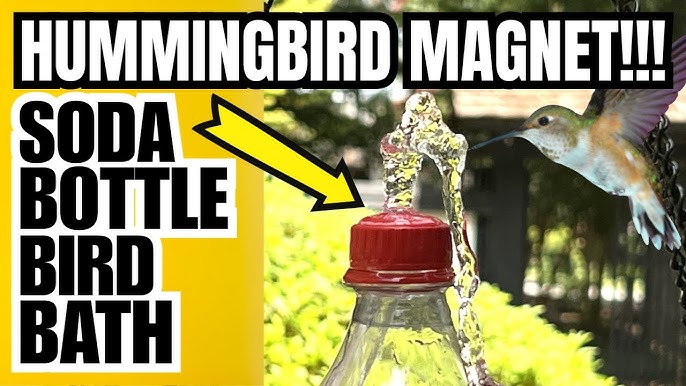 How to Make Pop Bottle Bird Feeder