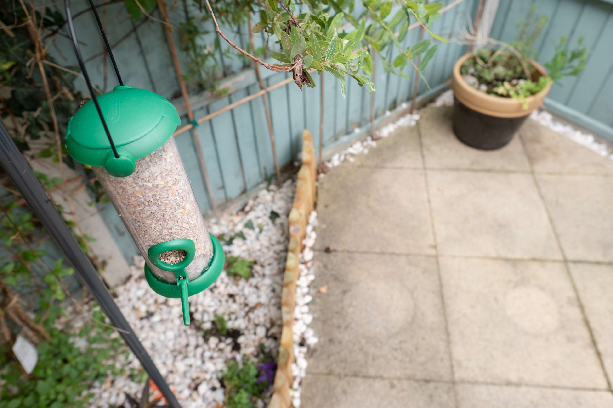 How to Make Your Yard Bird Friendly Feeder
