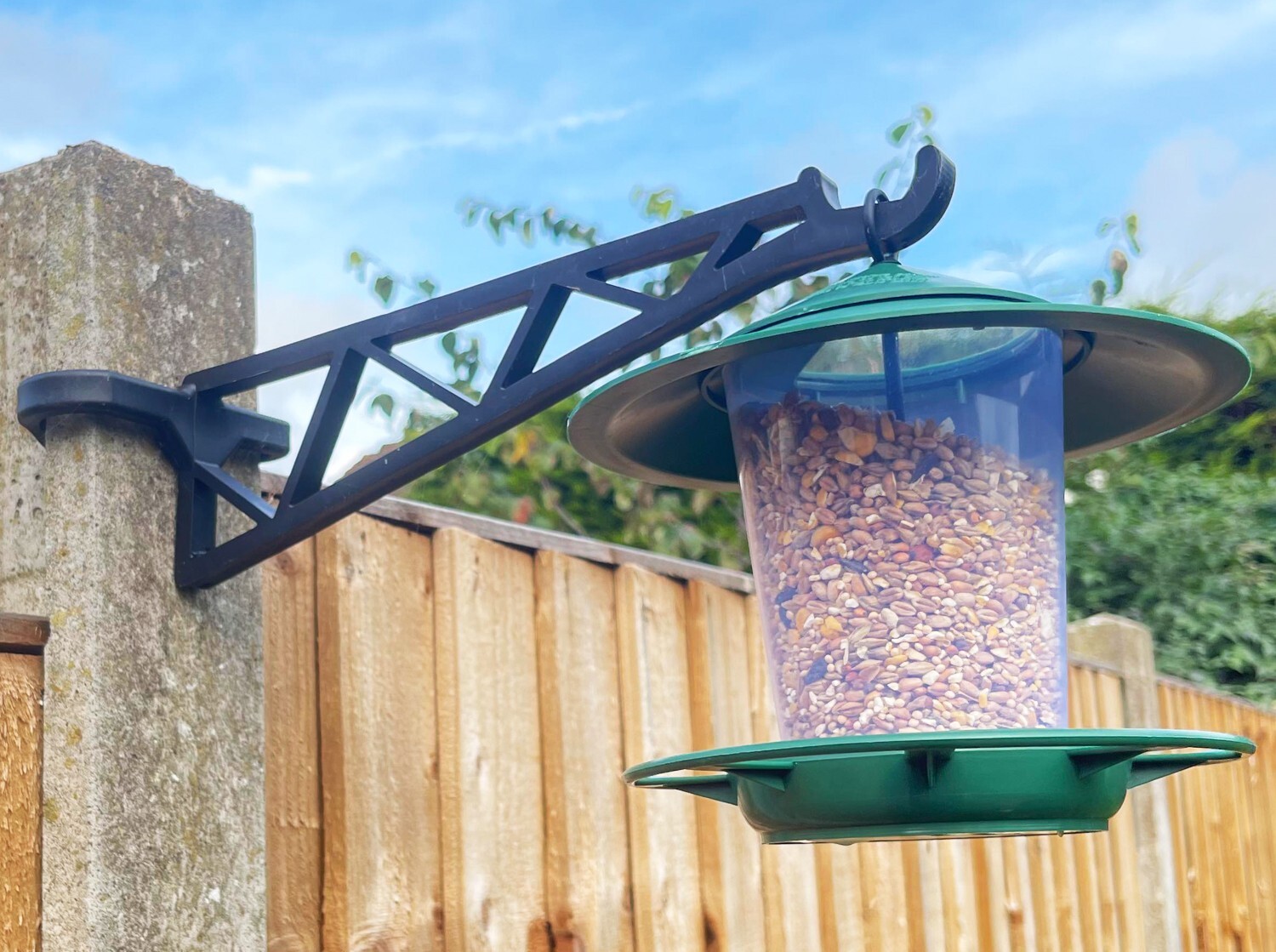 How to Secure a Bird Feeder With Cement