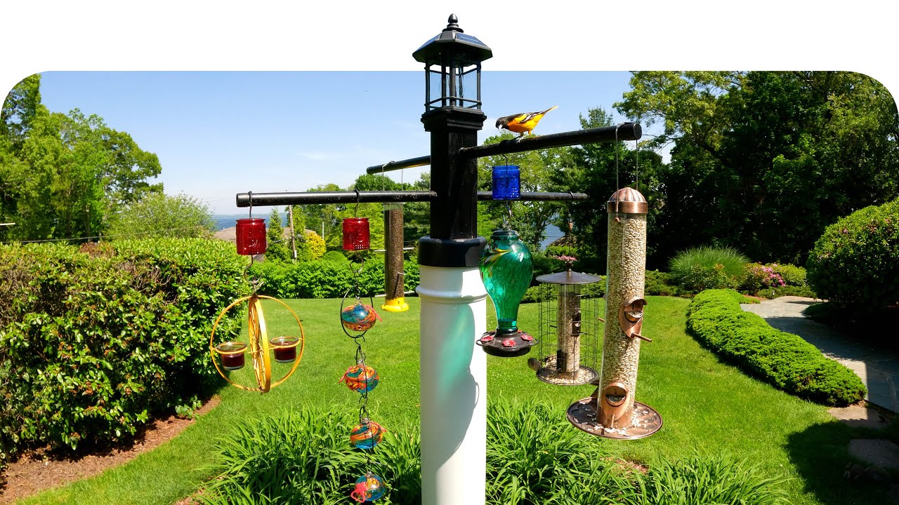 How to Squirrel Proof Bird Feeder Post