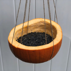 How to Turn Pumpkin into Bird Feeder