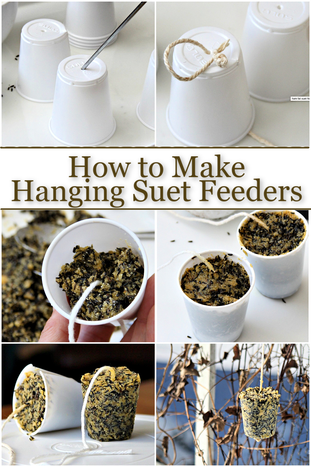 How to Use Suet Bars to Feed Birds