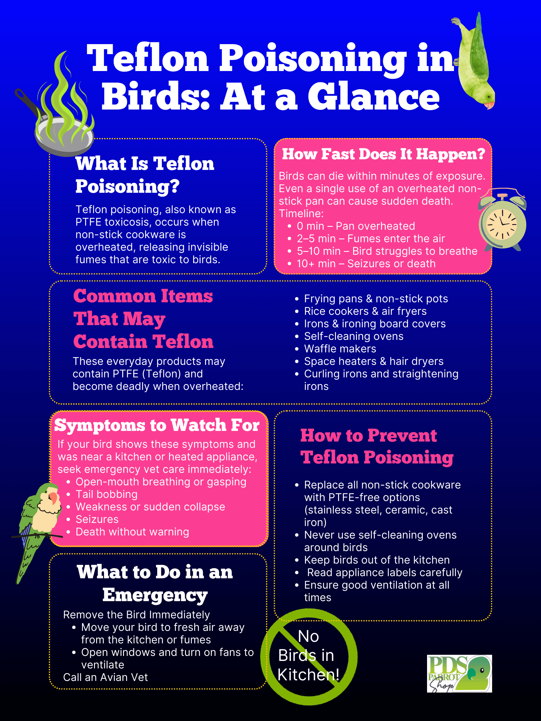 How was Bad Effects of Teflon And Pet Birds