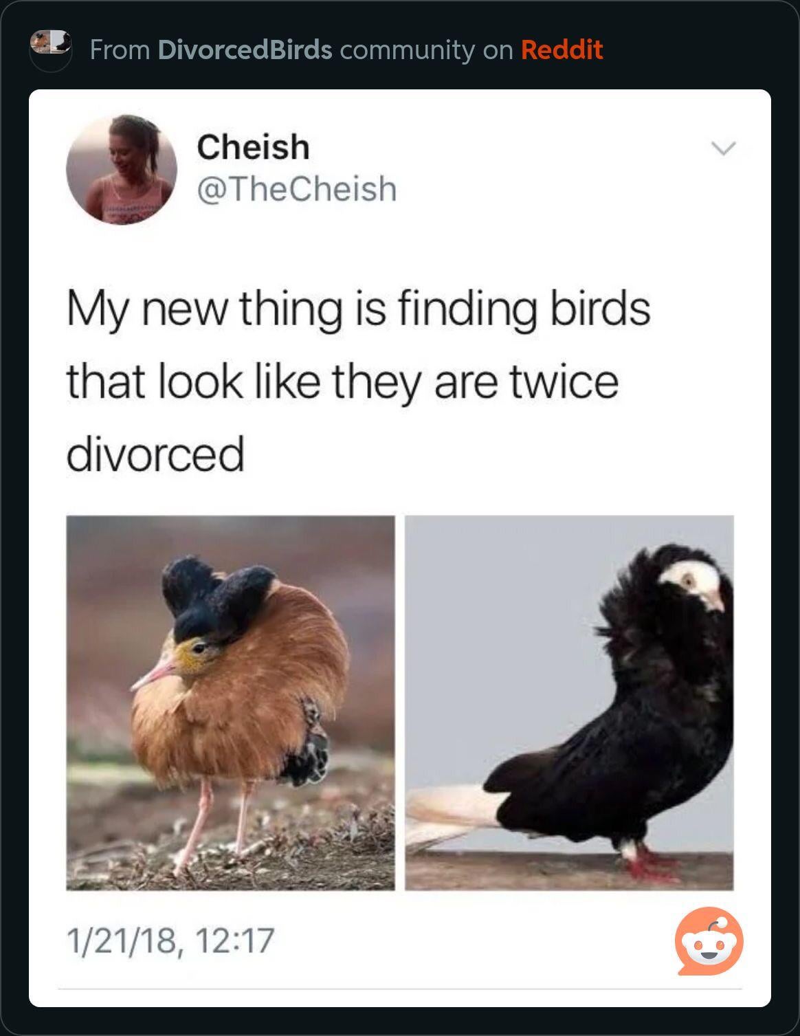 Is Bird-Watching One Word