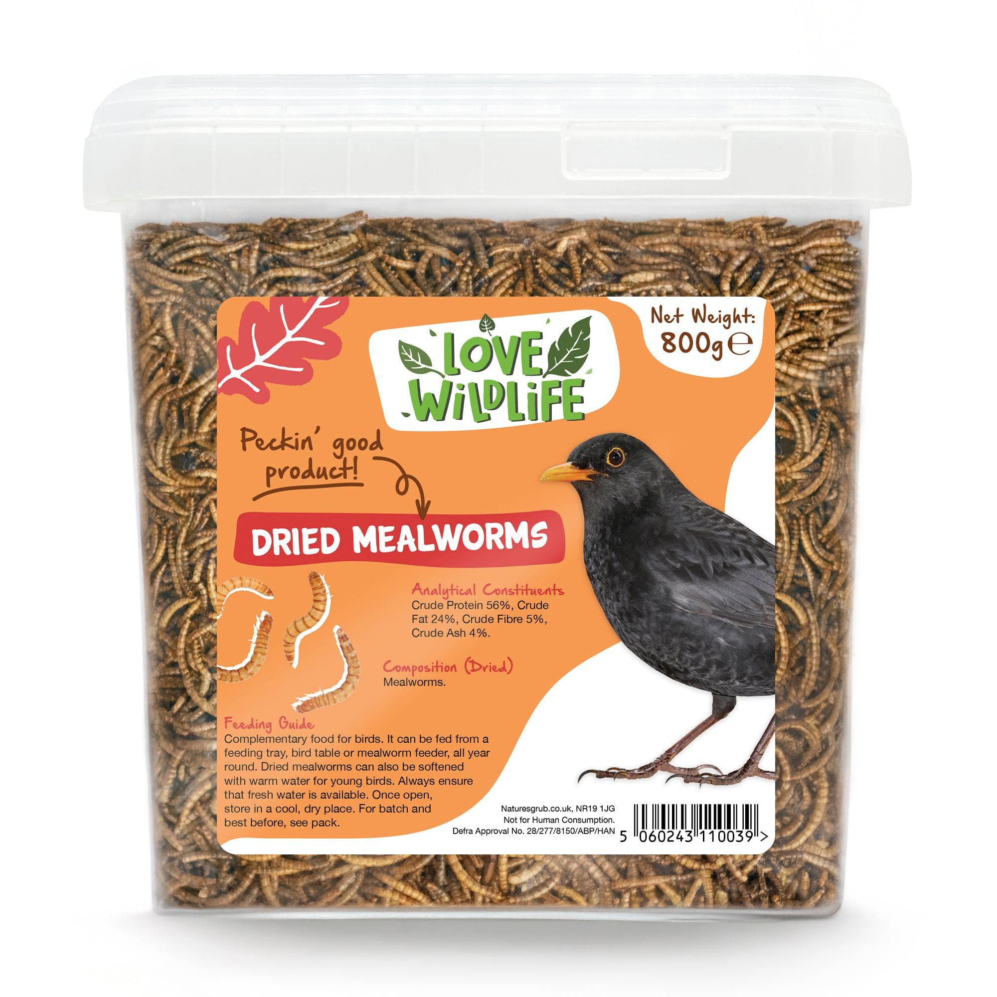 Is It Ok to Feed Pet Birds Dried Mealworms