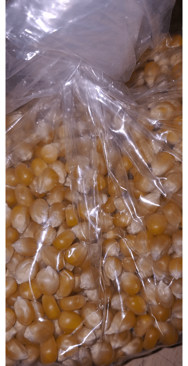 Is It Ok to Feed Wild Birds Popcorn