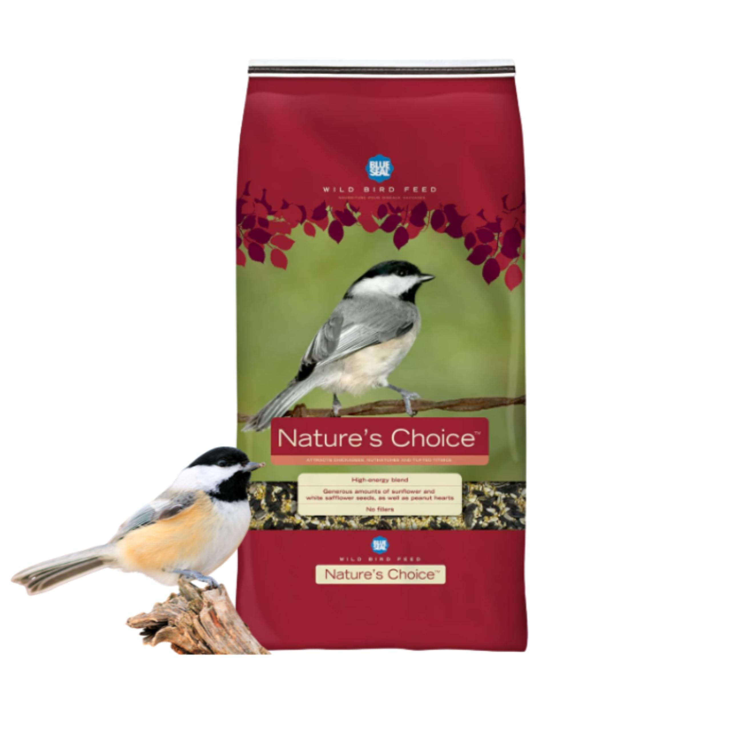 Is It Okay to Feed Wild Birds Seed