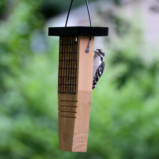 Is It Safe to Stain a Bird Feeder