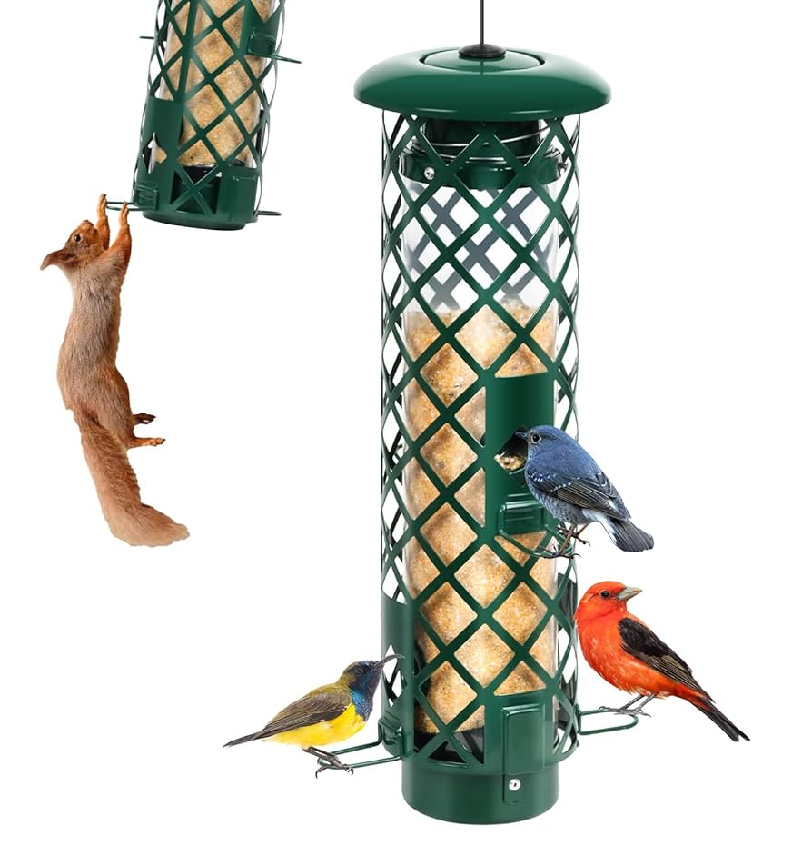 Is There a Bird Feeder That is Squirrel Proof