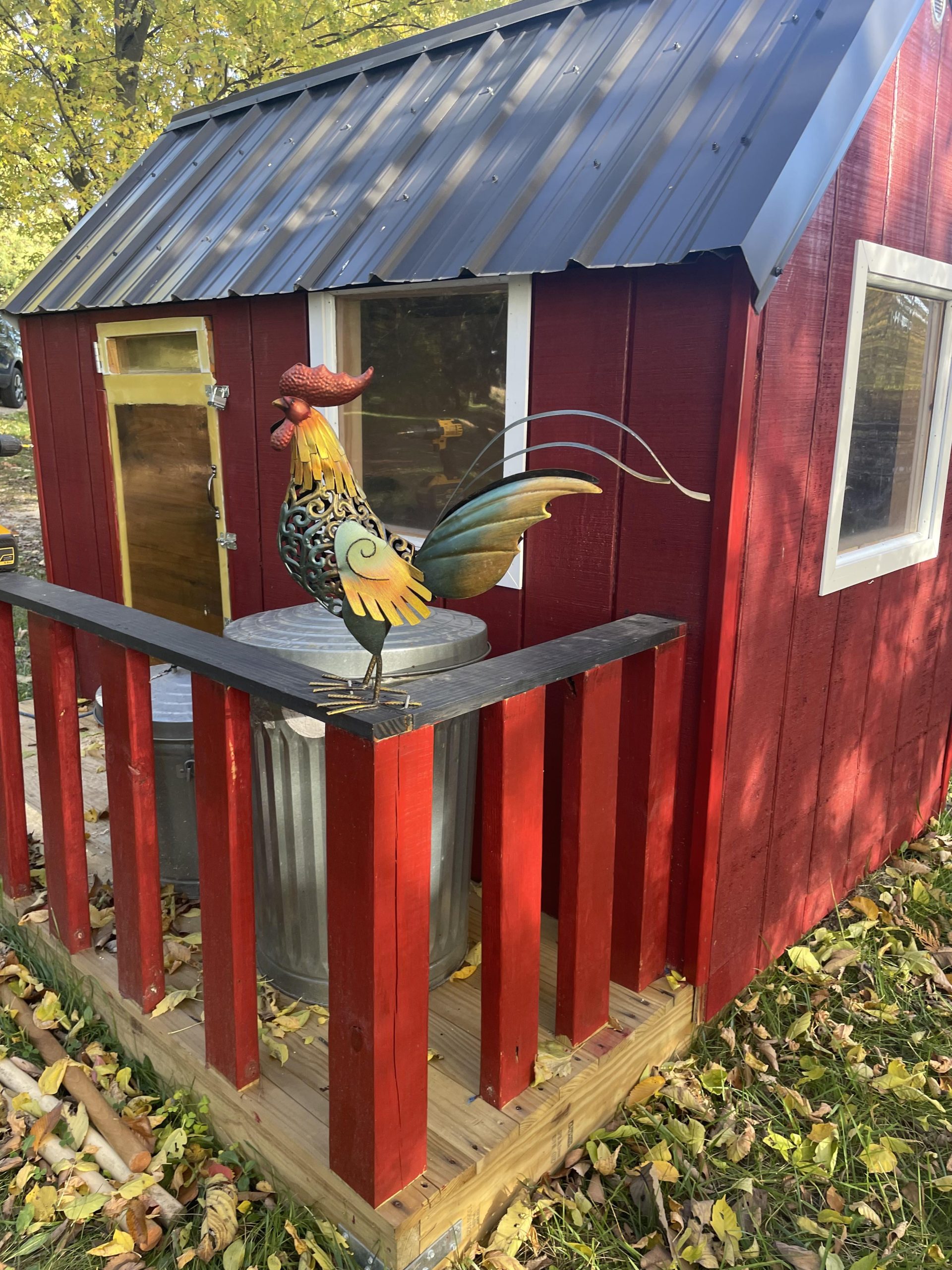 Should Wild Bird Feeder Be near Chicken Coop