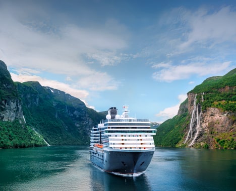 What are the Best Cruises for Bird Watching