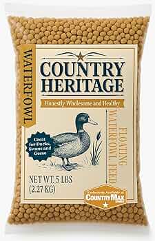 What Bird Seed Can You Feed Ducks