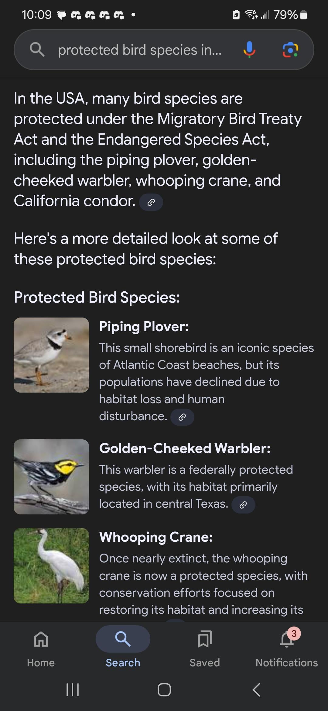 What Can I Feed Birds to Kill Them