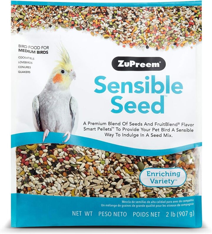What Can I Feed My Pet Bird