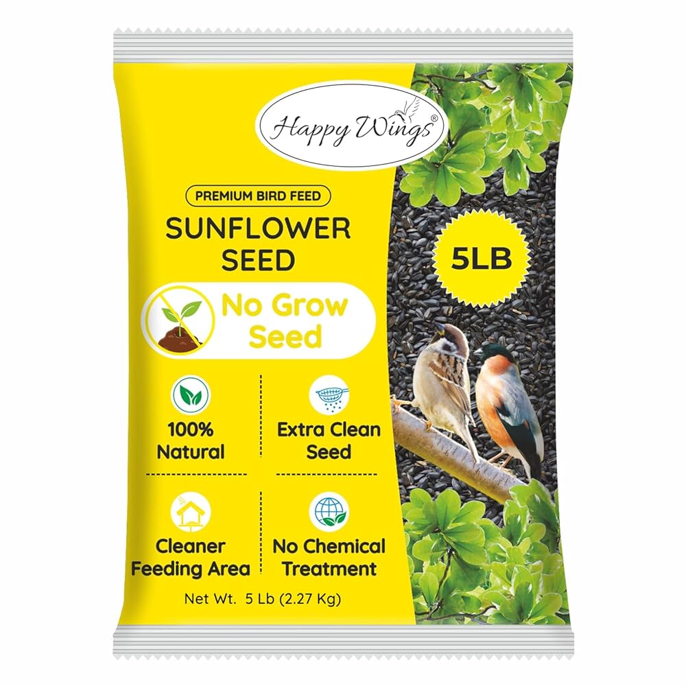 What Can I Feed Outside Birds