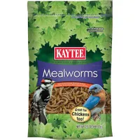 What Can I Use to Feed a Fledgling Bird
