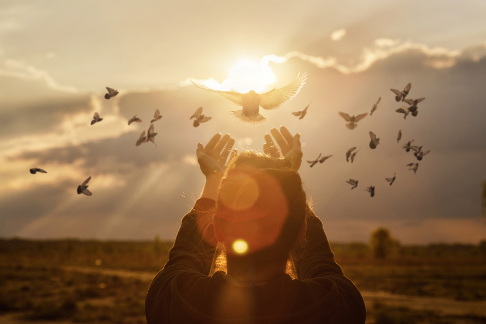 What Does Feeding Birds Dream Mean
